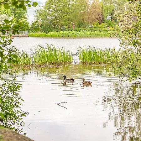 Alte Wassermuehle Am Bach *